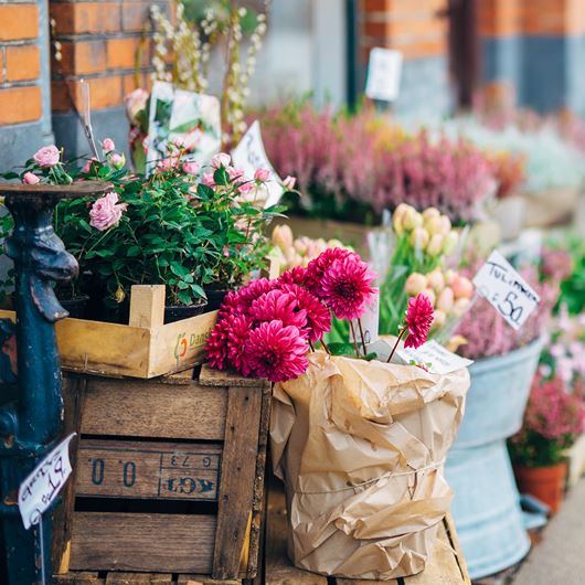 Outdoor flower market.