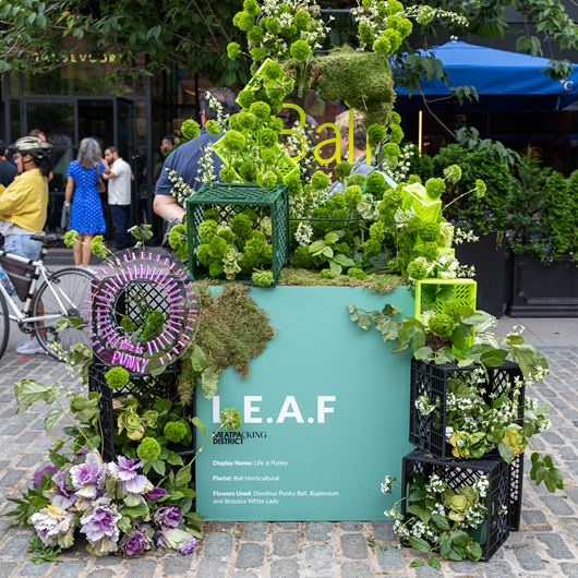 Highlights from L.E.A.F's 2022 Festival of Flowers.