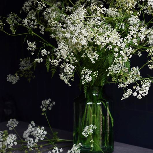 Table centerpiece featuring cow parsley.