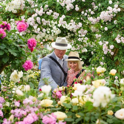 Attendees view the latest garden trends at the 2022 RHS Chelsea Flower Show.