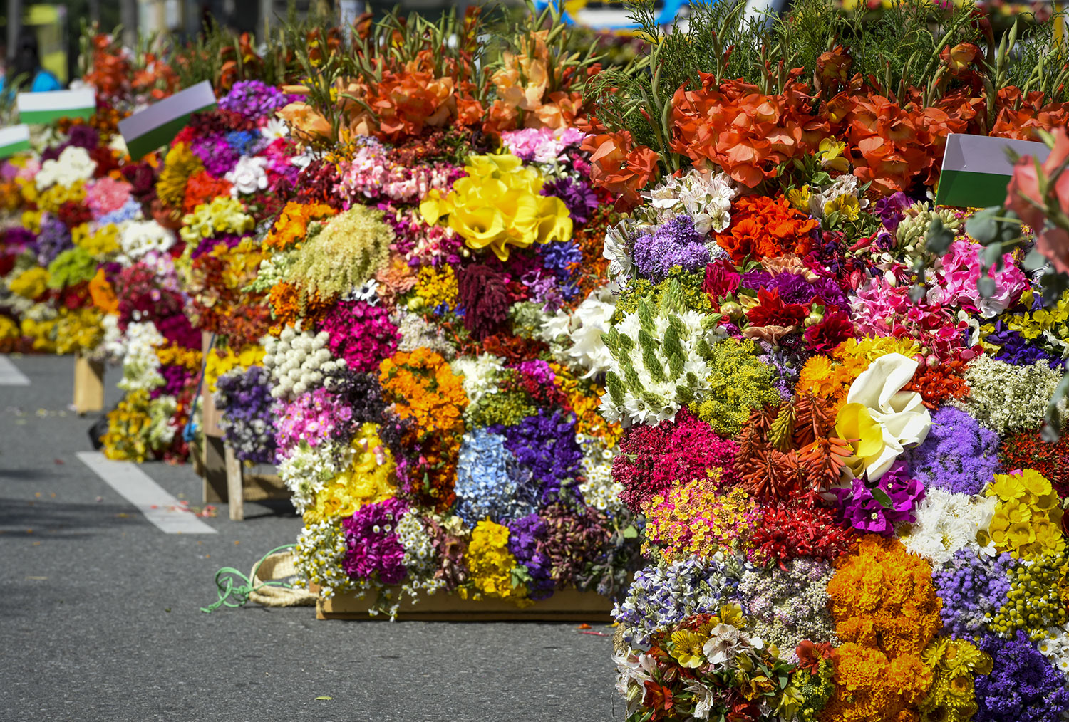Фестиваль Цветов Кипр